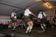 Thumbs/tn_Img_0077.jpg