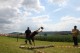 Thumbs/tn_Img_0184.jpg