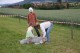 Thumbs/tn_Img_0226.jpg