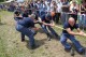 Thumbs/tn_Img_0275.jpg