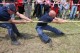 Thumbs/tn_Img_0277.jpg